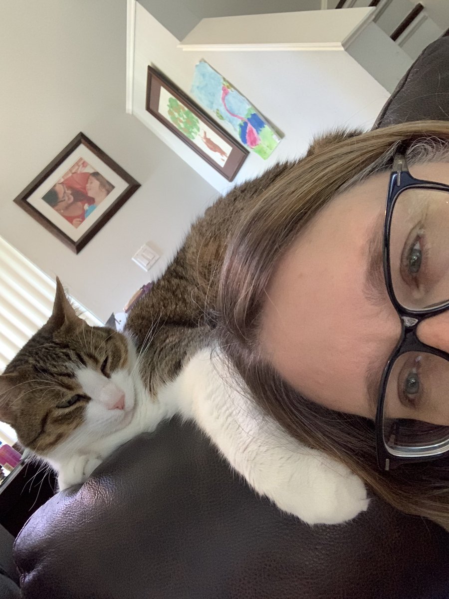 Feline Foursome 😻😹🙀😽 tweet media