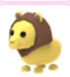 Muncherzewski's tweet photo. #Adoptmetrades #adoptmetrading #adoptme
Small giveaway 
Prize lion 

Rules 
Follow me 
Like 
Retweet 
Show proof 

Ends when I want https://t.co/iCtX3N4kSx