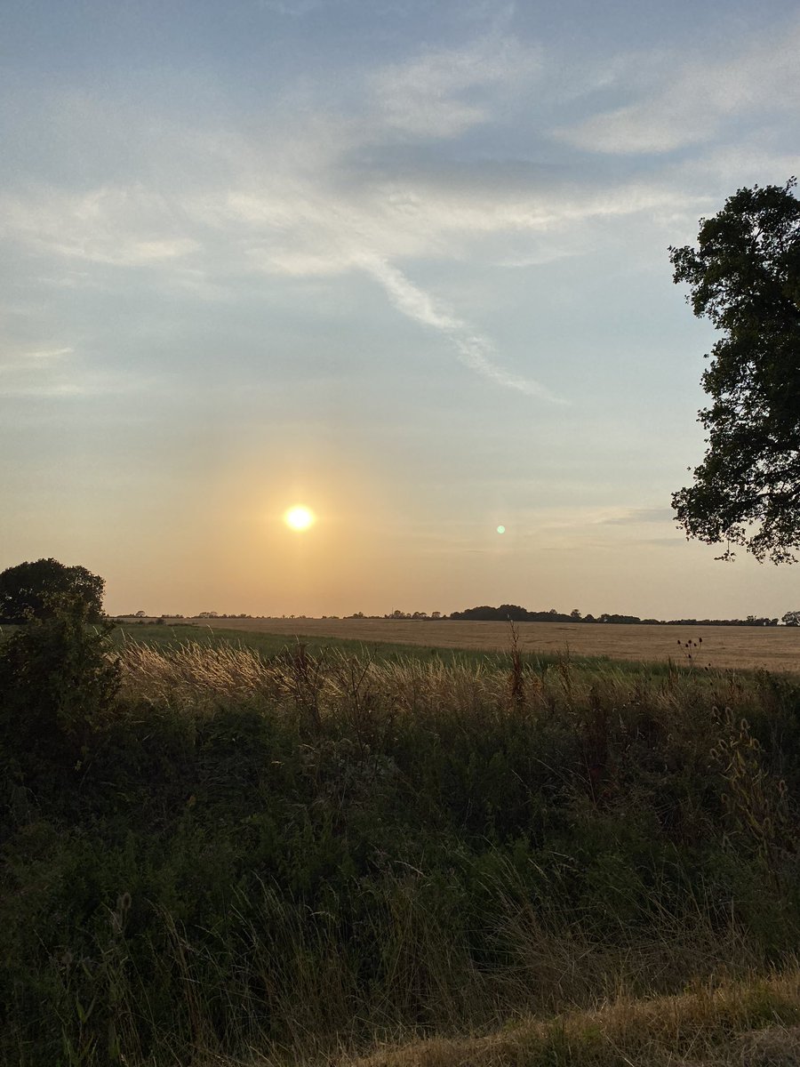 MiatheMinx1's tweet photo. Mums was snapping away on our walk tonight ☀️ #loveasunset #walkies #bullywalk https://t.co/A3cPUhIkMe