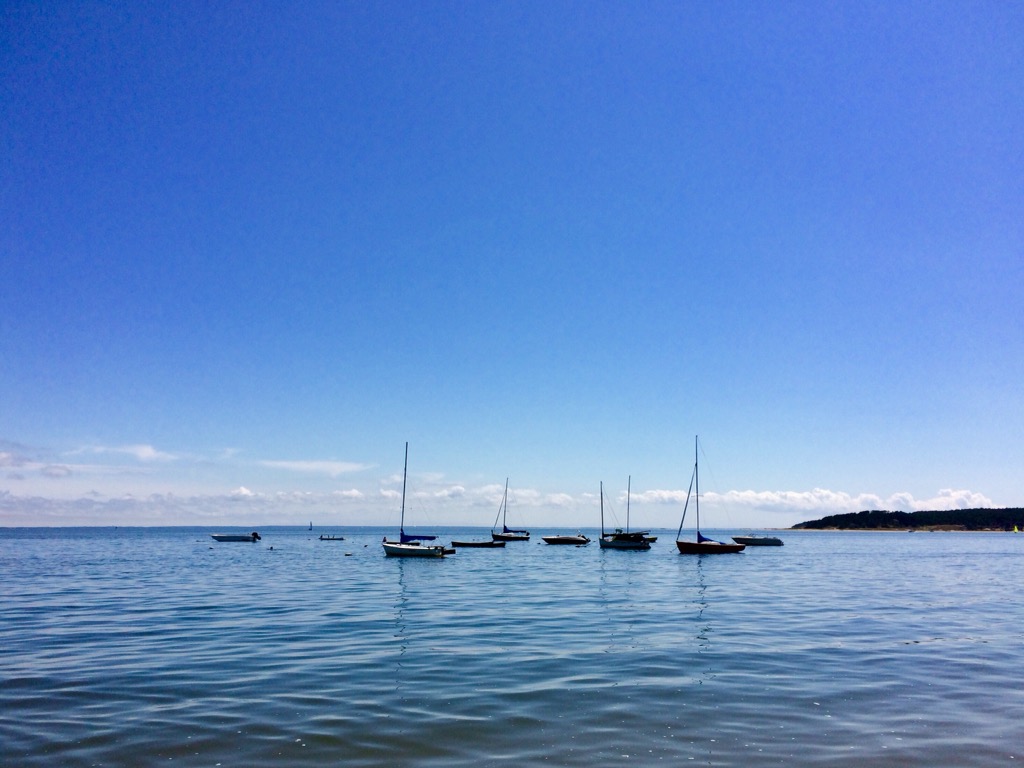 CapeCast tweet media