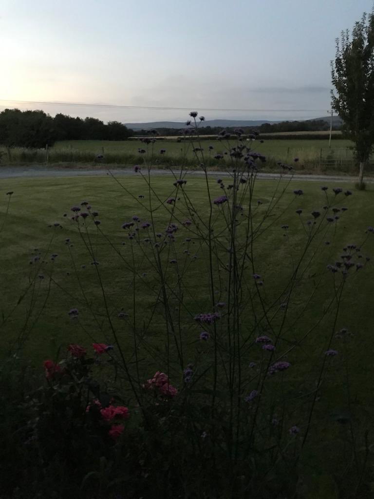 GillRphysio's tweet photo. Day 8 #AHPsActive sat morning HITT class, running round after kids, gardening, then after a glass of rose and a pizza i realised...... my goal to is to run every day in August ... wasn’t pretty at 9.21 but I did it 💪🏻#donein
#runningatdusk let’s keep going @thecsp @weahps https://t.co/670xxhq0VC