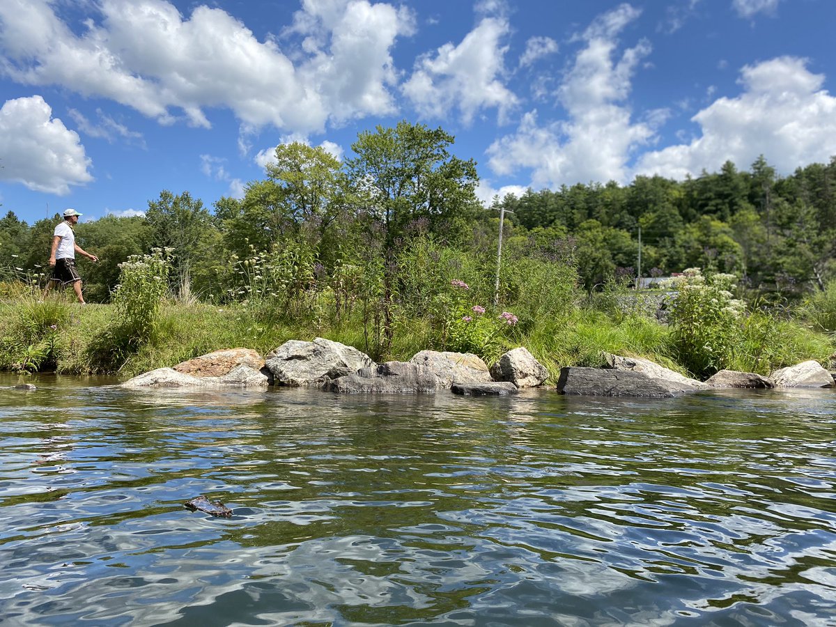 I was up in the Kawarthas this past week and used the <a href="/swimdrinkfish/">Swim Drink Fish</a> <a href="/swimguide/">Swim Guide</a> app to find a couple new swimming spots. How great is this tool!?  Everyone needs to know about it and participate!   
Here is Gull River Rotary Park in Minden. A little joy for your newsfeed. ❤️