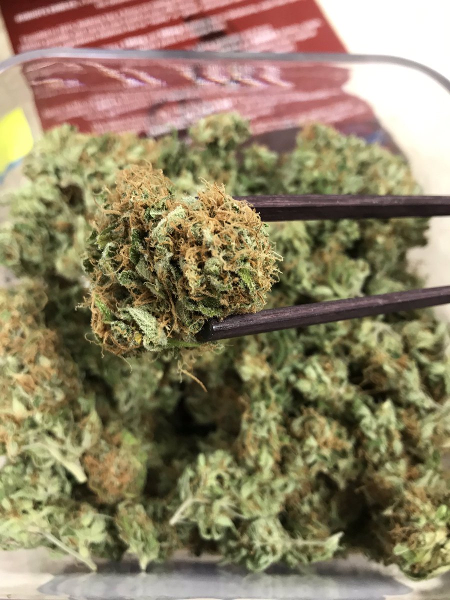 FourTwentyMain's tweet photo. Blue Lemon Thai 🍋🤤 - Typically causes a focused, relaxed, and creative feeling ✨ Come check it out at Four Twenty Main #BlueLemonThai #creativity #relax #focusing https://t.co/GfM9iCfmIH