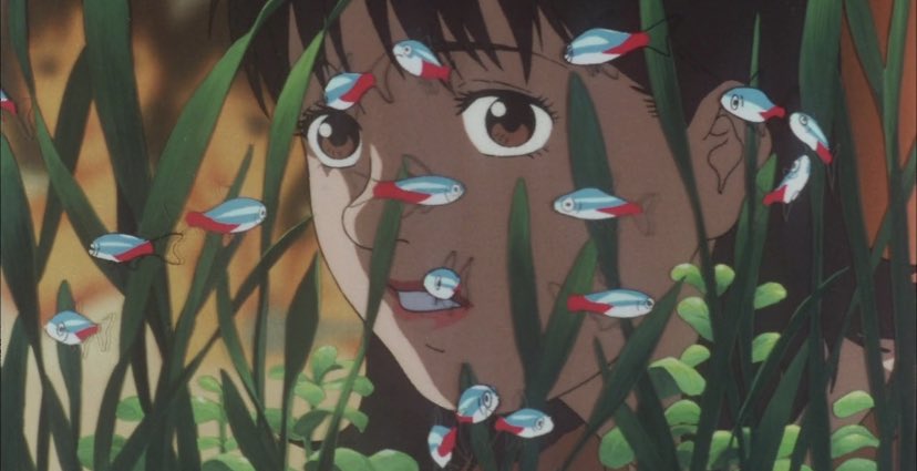 Perfect Blue (YouTube)- a CRAZY ass psych thriller. it’s one of those movies that makes YOU feel crazy.