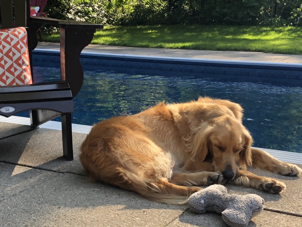 Hard day here by the backyard pool in #ldnont