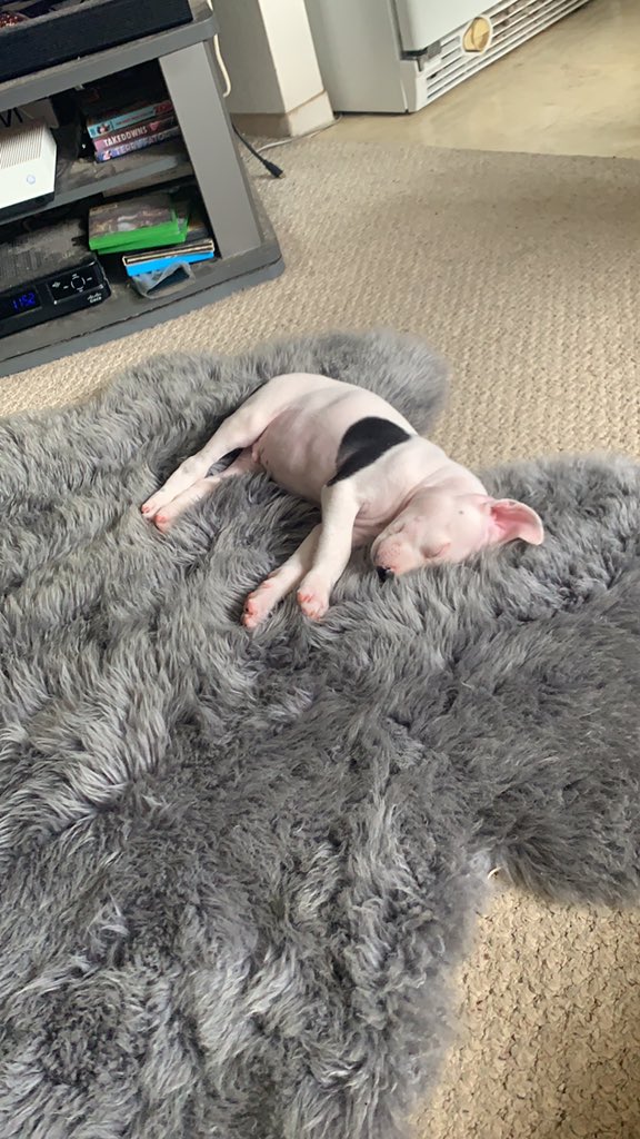 Klaus as in Nicklaus