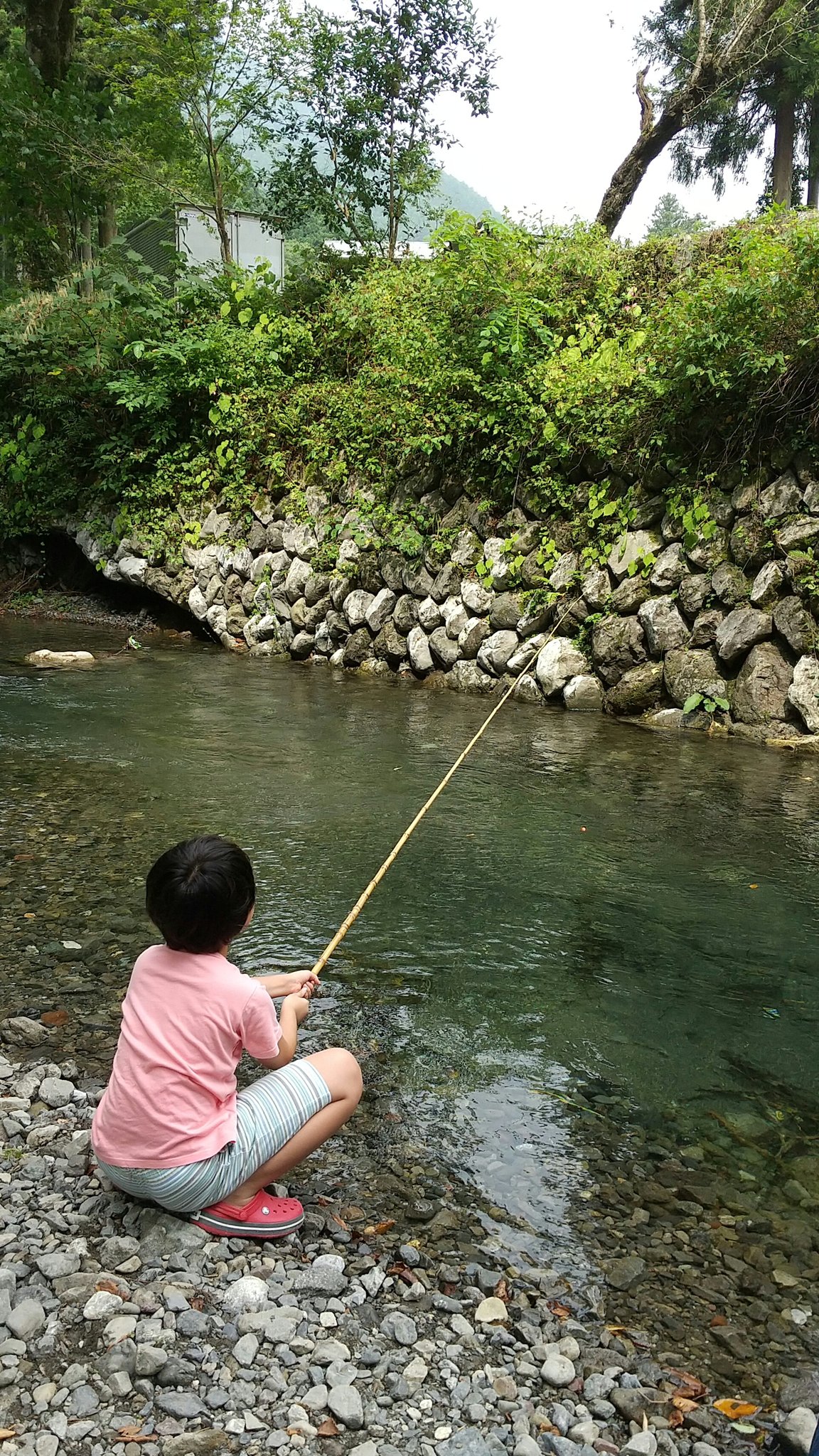 تويتر 大澤加門 カモン على تويتر 前からやってみたかったこと 渓流釣りして焼いて食べる たくさん釣れました マス 美味しかったです 楽しかった 渓流釣り マス釣り マスの塩焼き ソーシャルディスタンスばっちり マイナスイオンたっぷり 東京都内