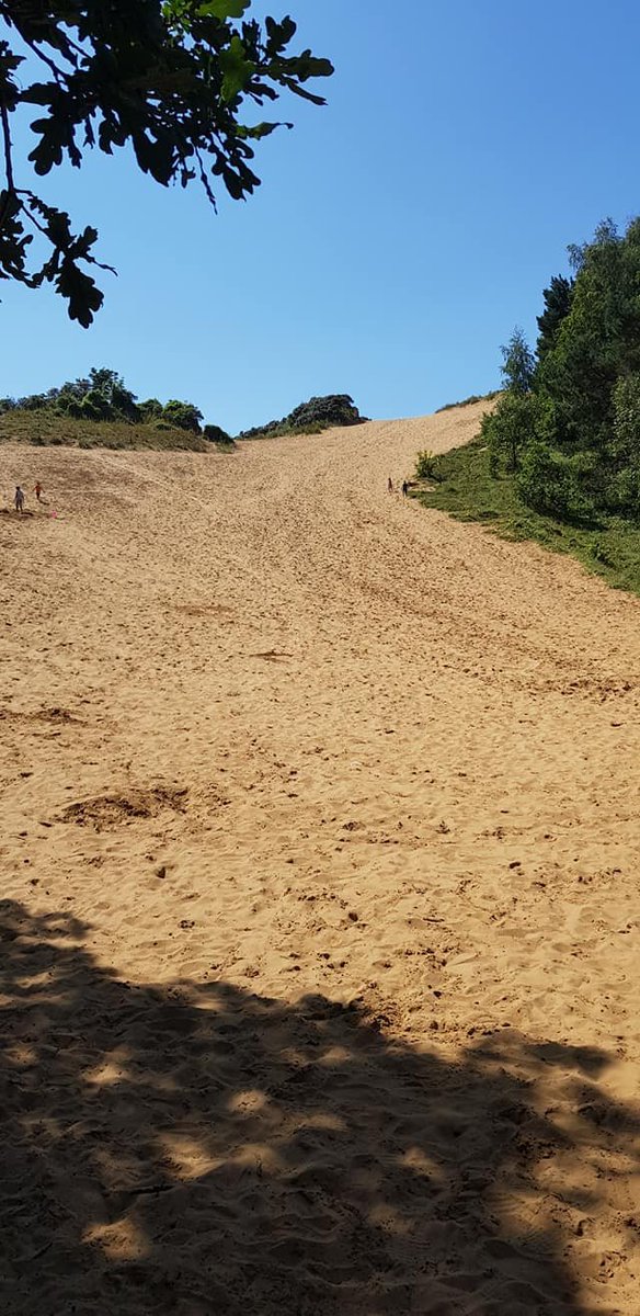drdeanburnett's tweet photo. Today, on a whim, I took the kids to the second largest sand dunes in Europe. Was a 40 minute drive to get there.

Lockdown has showed me that I really don't appreciate enough how brilliant Wales is, nature-wise https://t.co/Xj4osfblEO