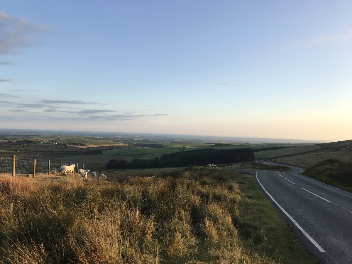 Craig Nelson tweet media