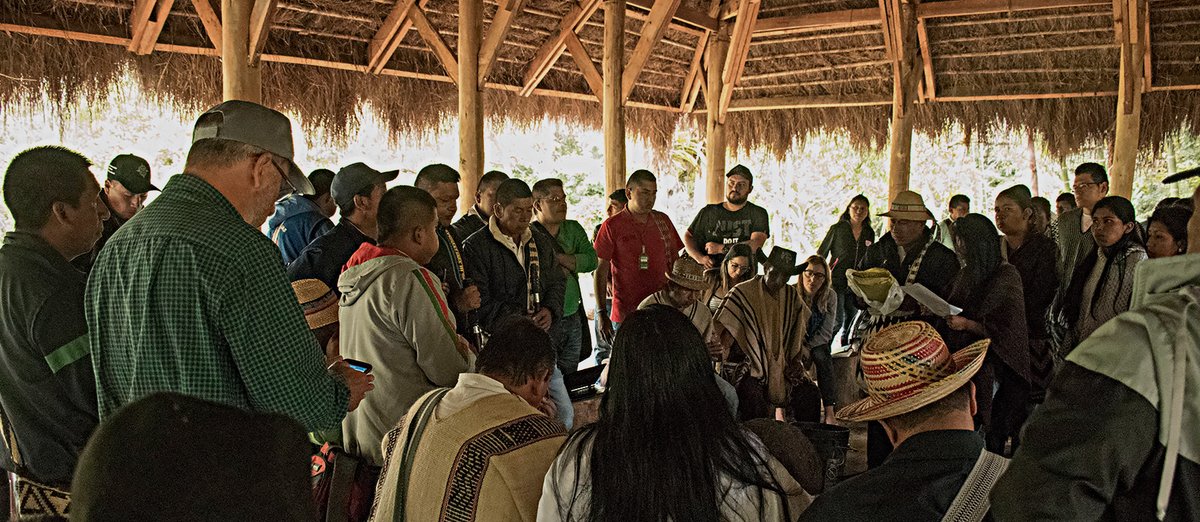 JEP_Colombia's tweet photo. La @JEP_Colombia abre convocatoria para la publicación de artículos en obra colectiva sobre conflicto armado, medio ambiente y territorio. 
▶️Estará abierta hasta el 15 de septiembre de 2020
🧑🏽‍💻Más información en: https://t.co/4iXRUOTUK3 https://t.co/eJ3gZ0yJil