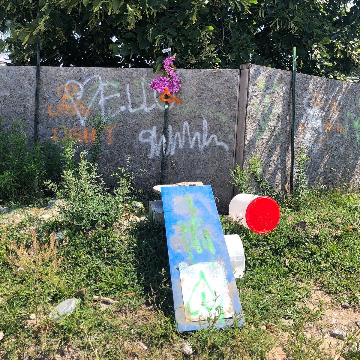 Latest at the beach: parkour for dogs. Barkour! Henry the dog had been having a total blast!