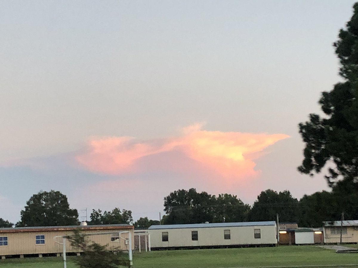 STM Env Science tweet media