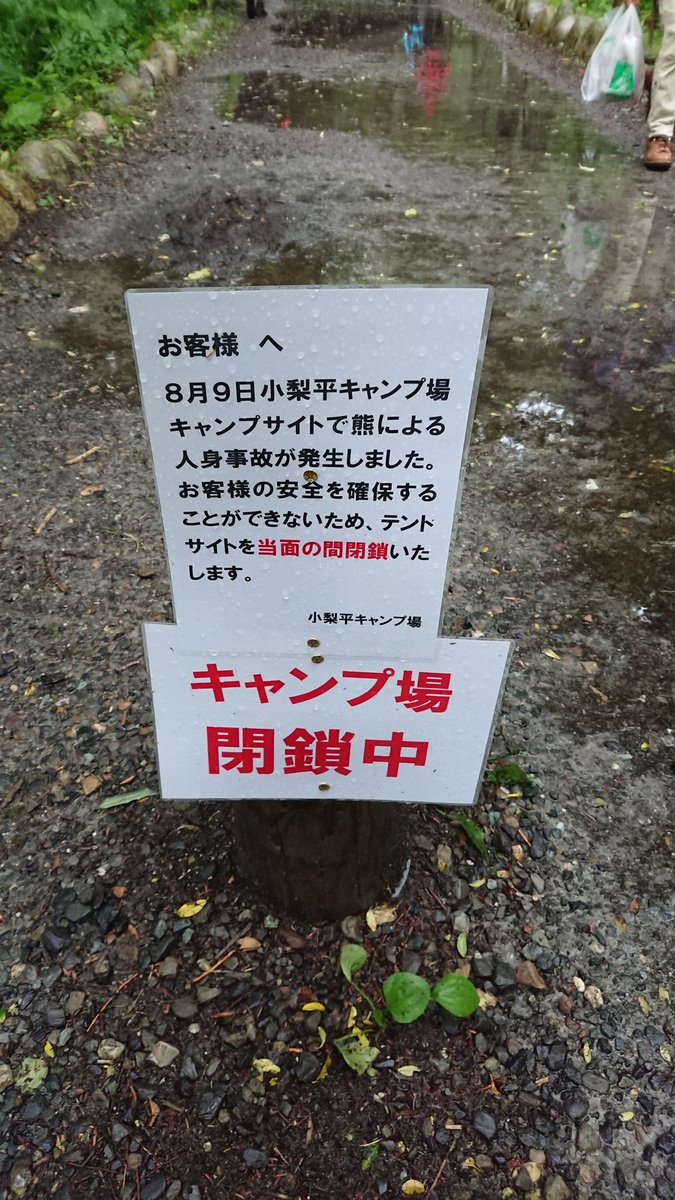 クマの襲撃事件発生 野外活動における食料の保管方法を抜本的に見直そう Side B Camp Net