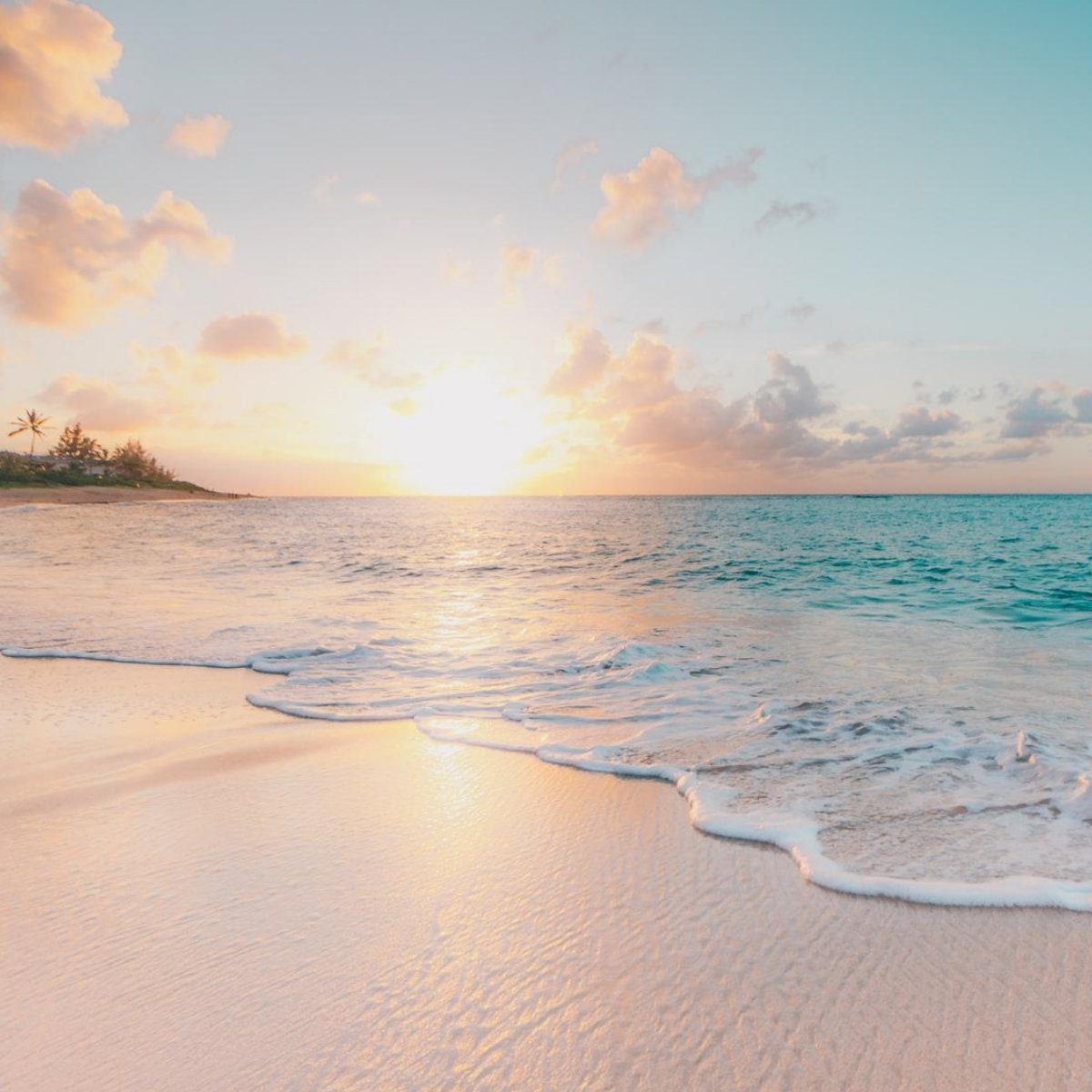 UBDI_Aus tweet media