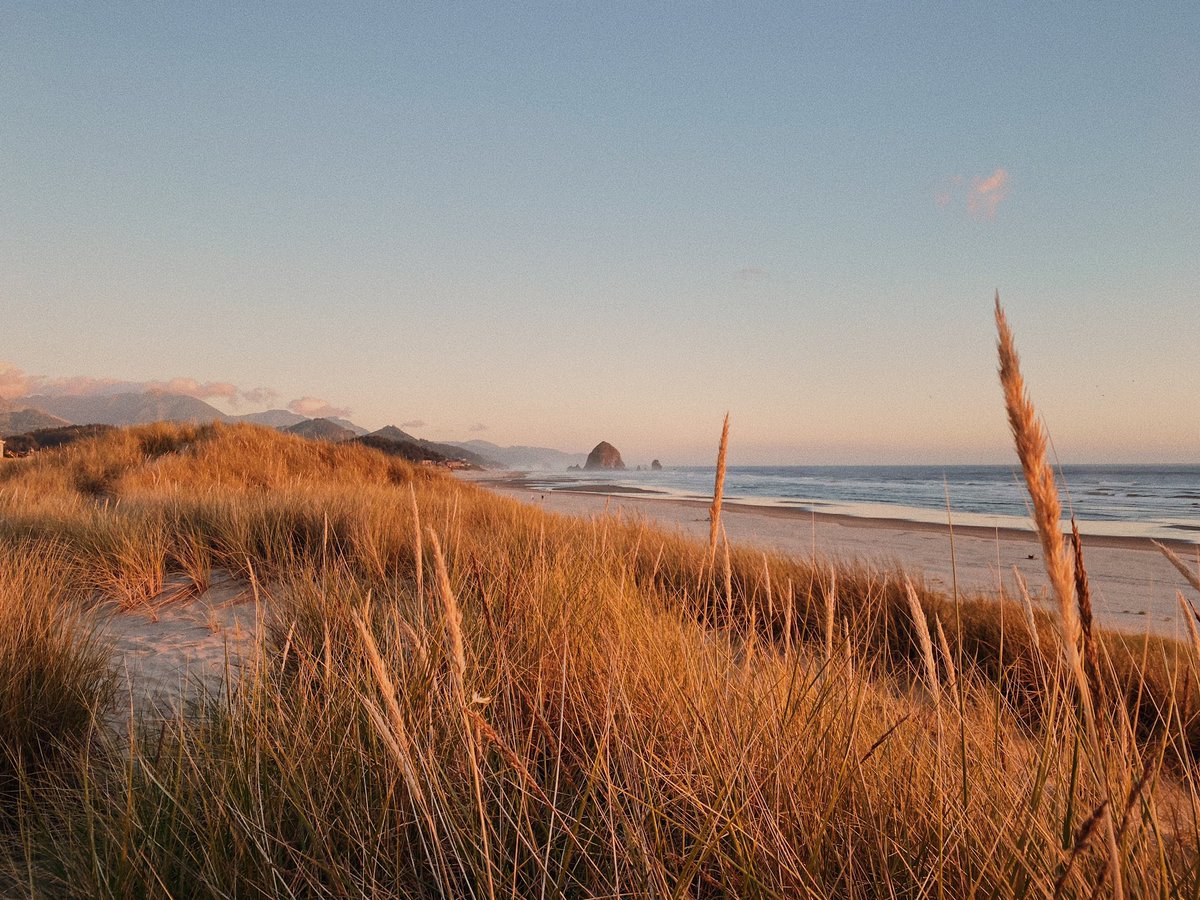 alexxhinson's tweet photo. iphone snaps from today on the oregon coast https://t.co/WsIVIyKwdM