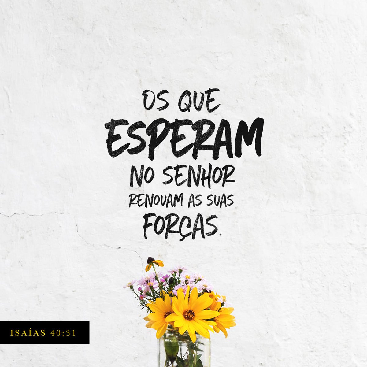 Osmindo's tweet image. mas os que confiam no Senhor recebem sempre novas forças. Voam nas alturas como águias, correm e não perdem as forças, andam e não se cansam.
Isaías 40:31 NTLH