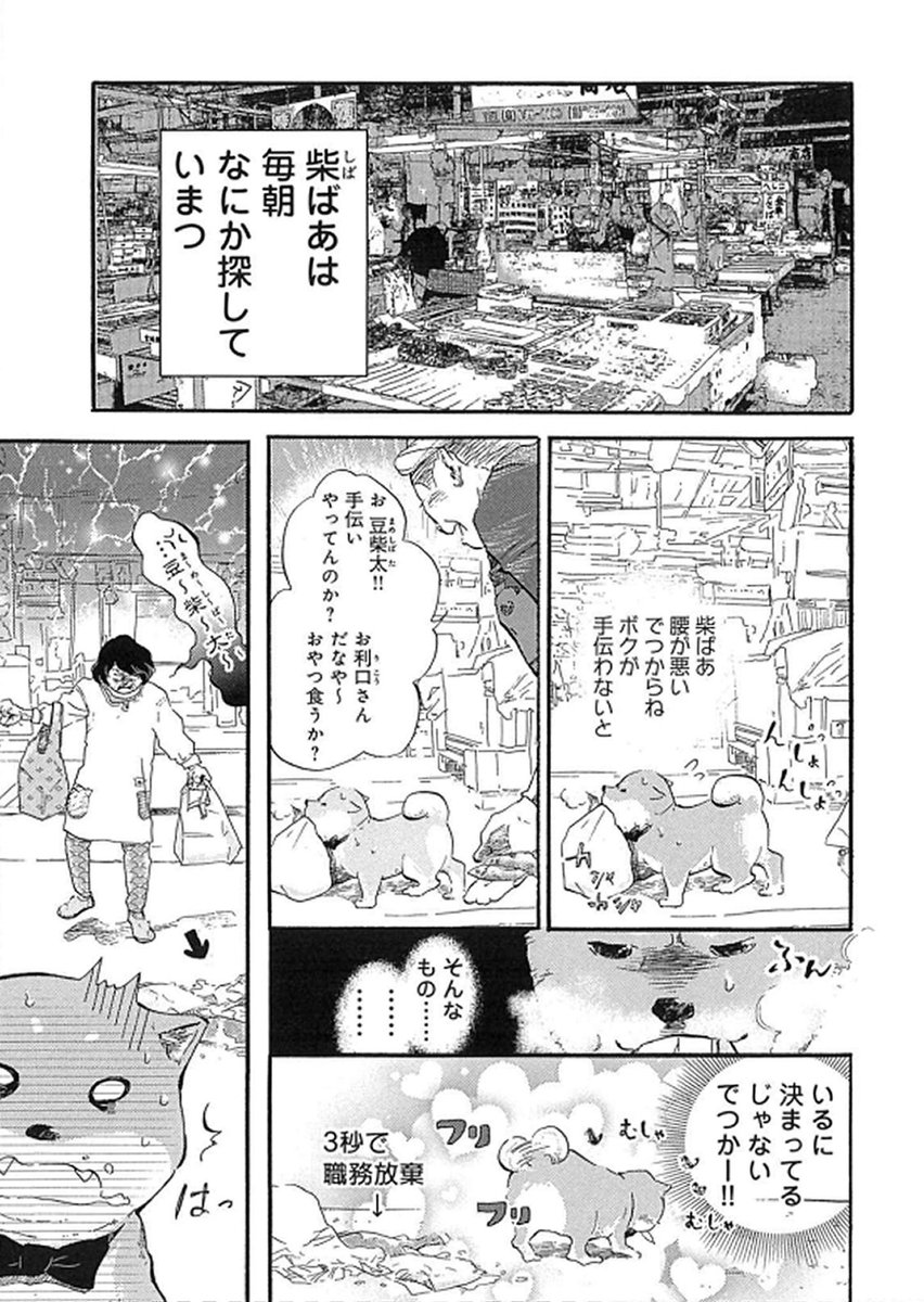 本日は『柴ばあと豆柴太』の更新日です

ねとらぼ【毎週日曜更新】
5歩目「豆柴太、ダイブをする」
柴ばあの毎朝の日課?とは?

豆柴が主人公の漫画です?
今回は皆で修司のお祝いをしています?
よろしくお願いします?‍♀️

震災から9年「笑顔になっても悲しい波はやってくる」https://t.co/xATYke0t6f 