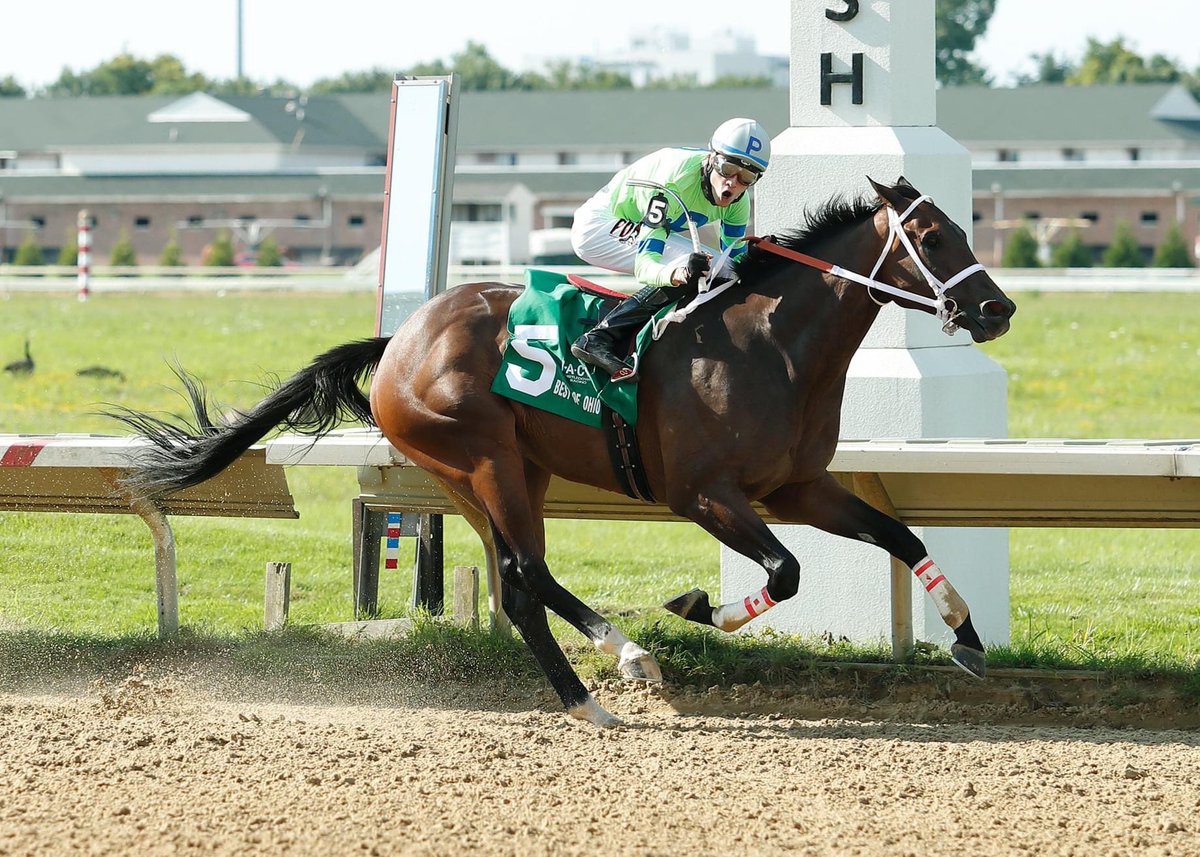 What a day! 3 wins & 2 100k stakes 🏆 thanks to god & everyone involved couldn’t have done it without you guys. #romanticCowboy #CakePop #MOdontNO @infront_racing @LooochRacing @AshleyQuartaro1 @abeveridge17