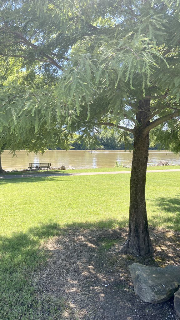 Pictures from Livermore, Kentucky earlier today. I love visiting small, rural Kentucky towns. The history, the charm, the trees, the old churches, the people waving from their porches, the peacefulness.. it’s an experience that honestly defies description.