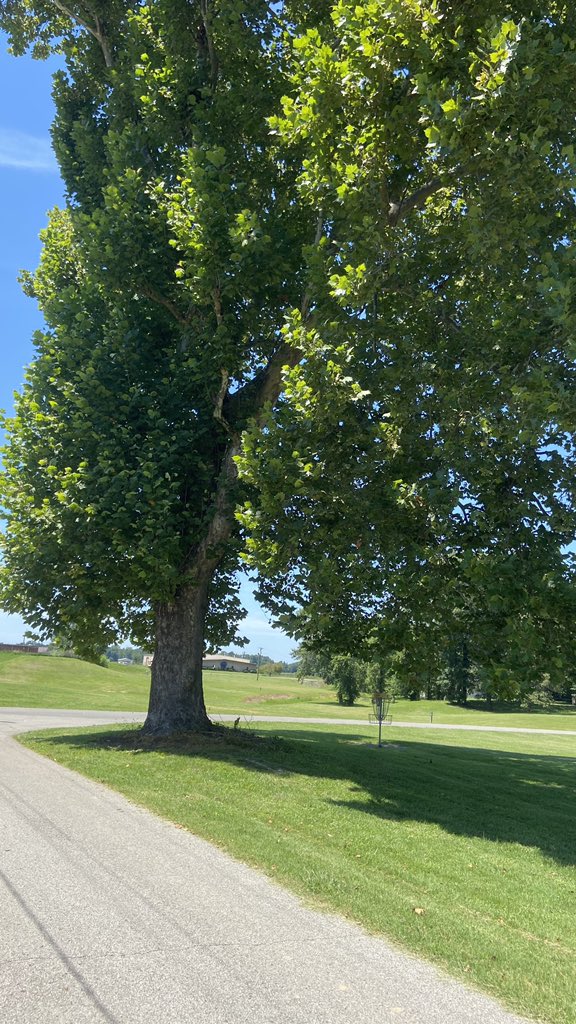 More from Livermore...