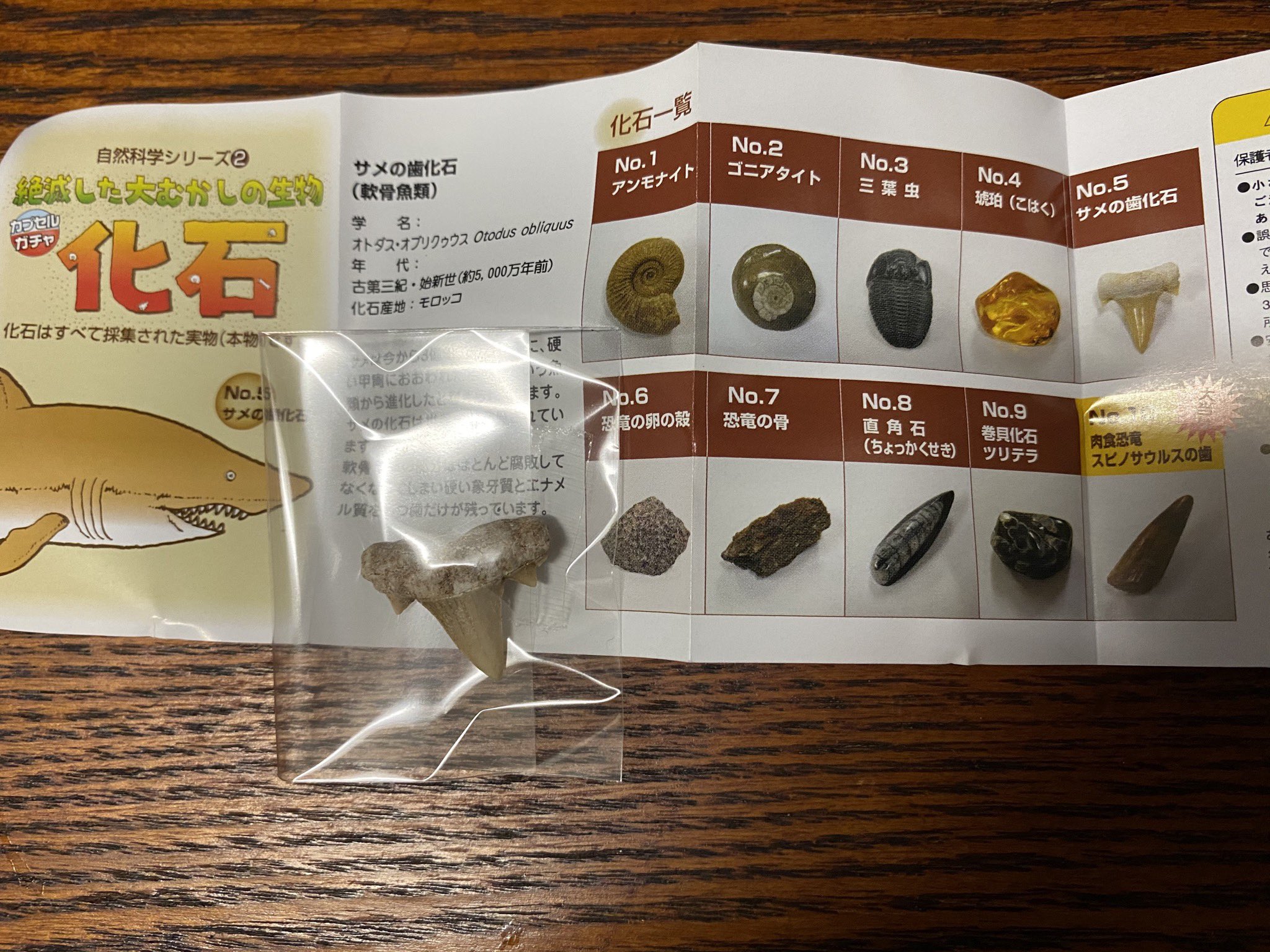 猫又ヨオスケ on X: 