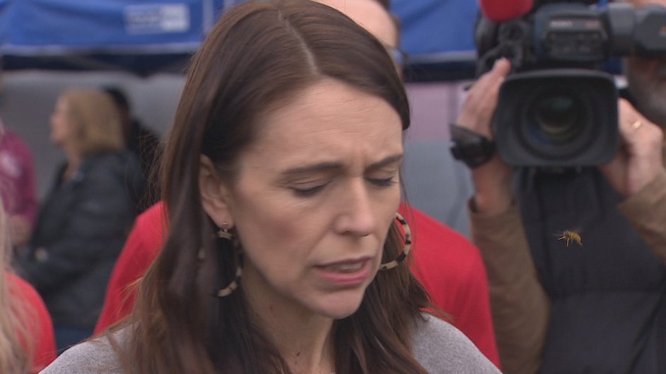 kimbakerwilson's tweet photo. Kudos to the supporter behind the Labour leader who was about to dive in to save her from a wasp attack before it flew off https://t.co/kY9K95NTCL