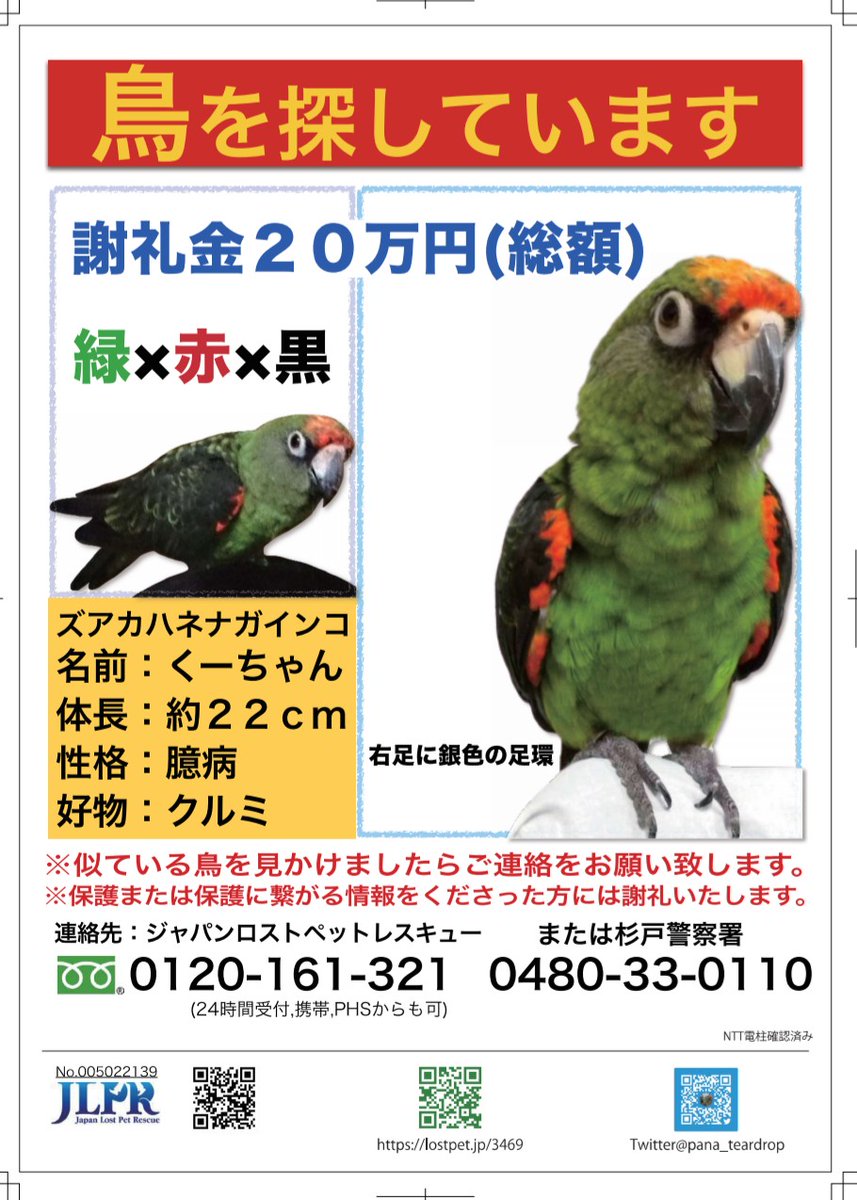 アカ ハネ ナガ インコ ズ