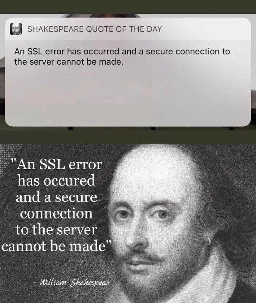 The Internet tweet media