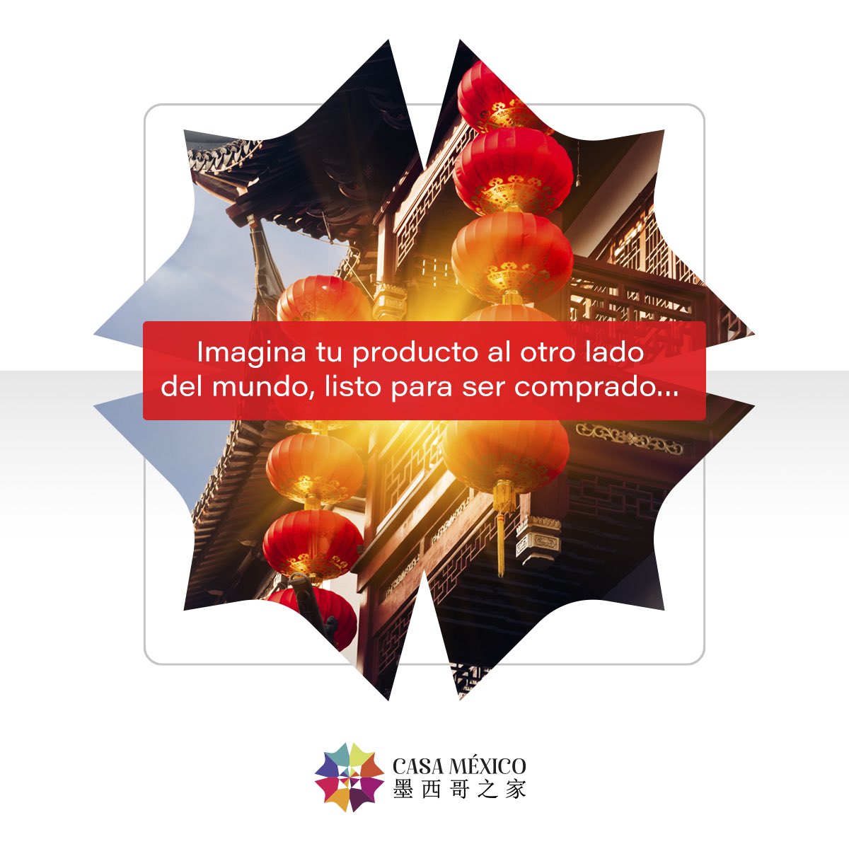 Empieza hoy a exportar de #México a #China: SIN COSTO. Y no dejes tu sueño para después. 
🇲🇽✈️🇨🇳