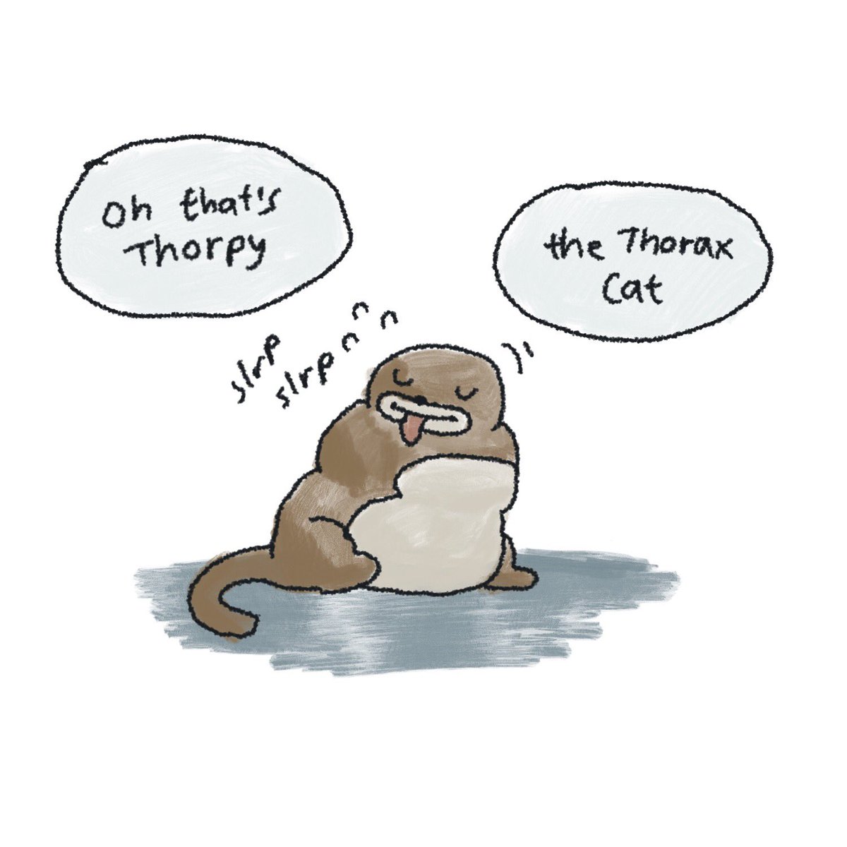 Thorpy the Thorax Cat 