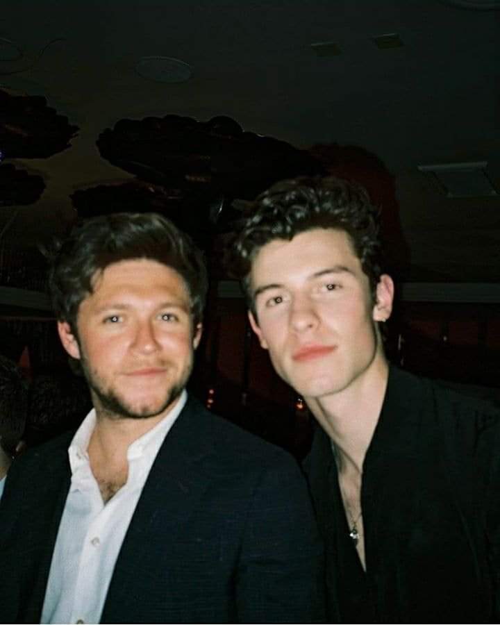 Happy 22nd Birthday Shawn Mendes on behalf of One Direction Family. Very close friend of Niall Horan 