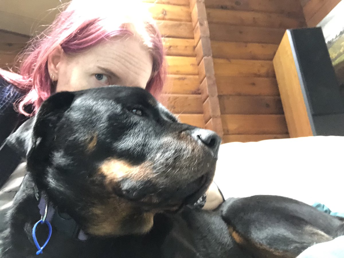PS this snuggly rottweiler - lapweiler - is worth more than the capital spent on his purchase, training, food, vet care. We derive our revenue from this investment in “Amos bucks”, manifesting in cuddles, licks, happy gronks, and tail wags