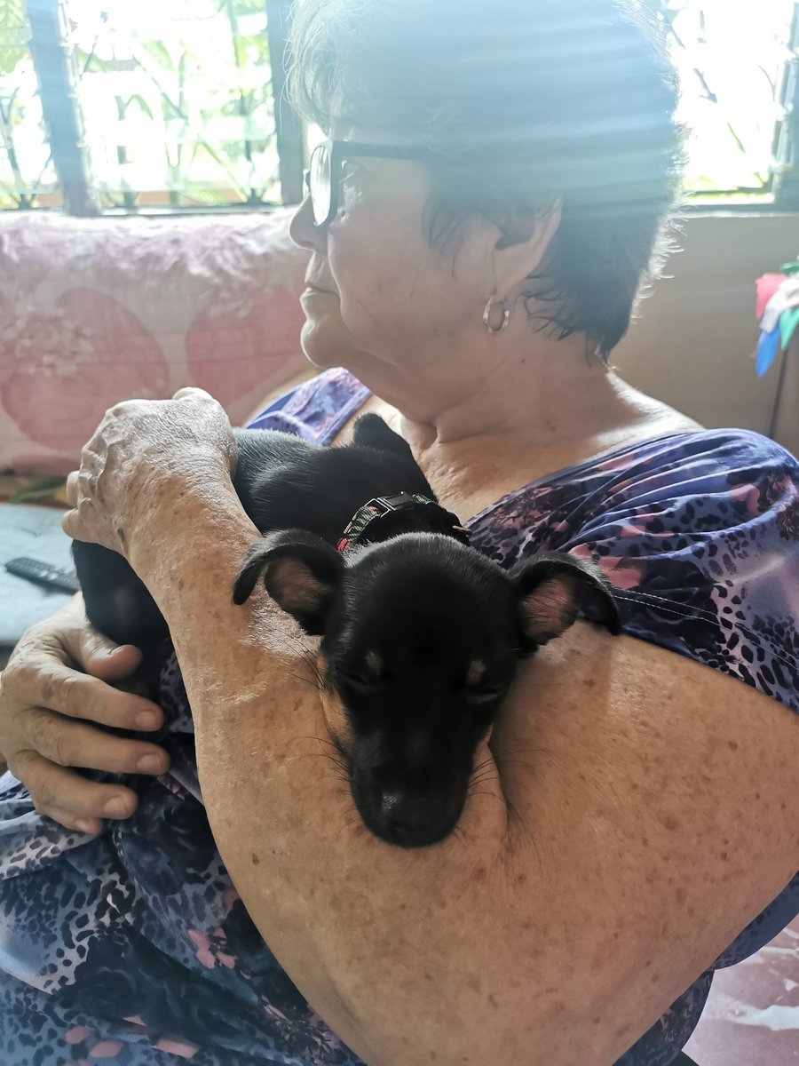 Nikizaher's tweet photo. Lo mejor de mi sábado resumido en una foto 😍
5 meses sin verla y 30 minutos bastaron para alegrarme tanto el corazón ❤️ https://t.co/KRVXlV3svc