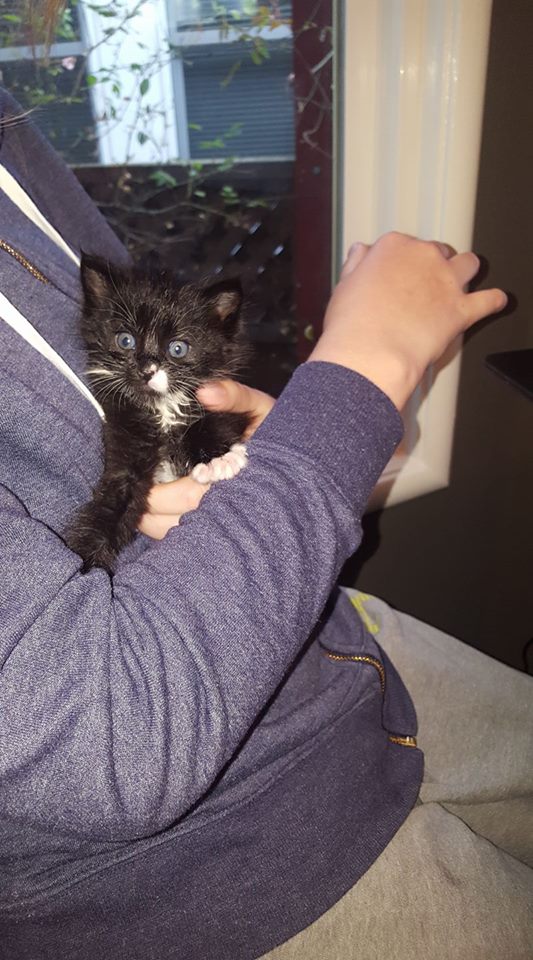 On Mother's Day of 2017, they texted mama that she should come meet us. Mama finished watching Guardians of the Galaxy and then went right over to meet us.