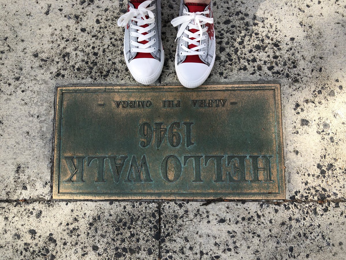 crimgraycougar's tweet photo. These sparkly Cougar shoes are made for cheering, and thatβs just what theyβll do. One of these days I can wear them to cheer on you-know-who. #GoCougs #HelloWalk #WSUPullman https://t.co/EfnEf1u1BB