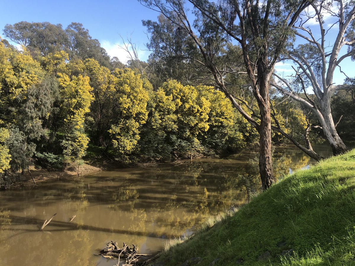 juliecob's tweet photo. @DanielAndrewsMP @VictorianCHO @JennyMikakos As I see the seasons transition from winter to spring, which are not restricted by the pandemic, I also see your leadership each day and am grateful. Thank you. #staysafe #staywell #wecandothisvictoria https://t.co/yTzFS91T3W