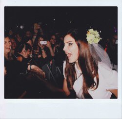 𝗌𝗁𝗈𝗐 𝗍𝗂𝗆𝖾