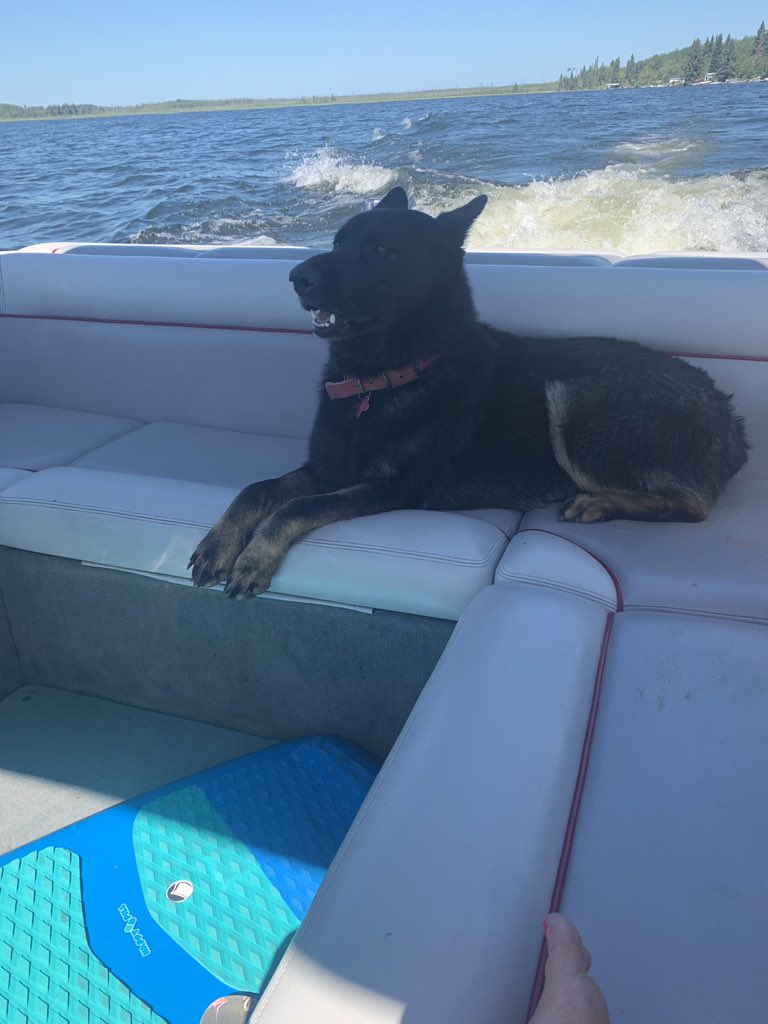 Carlye Hanke tweet media