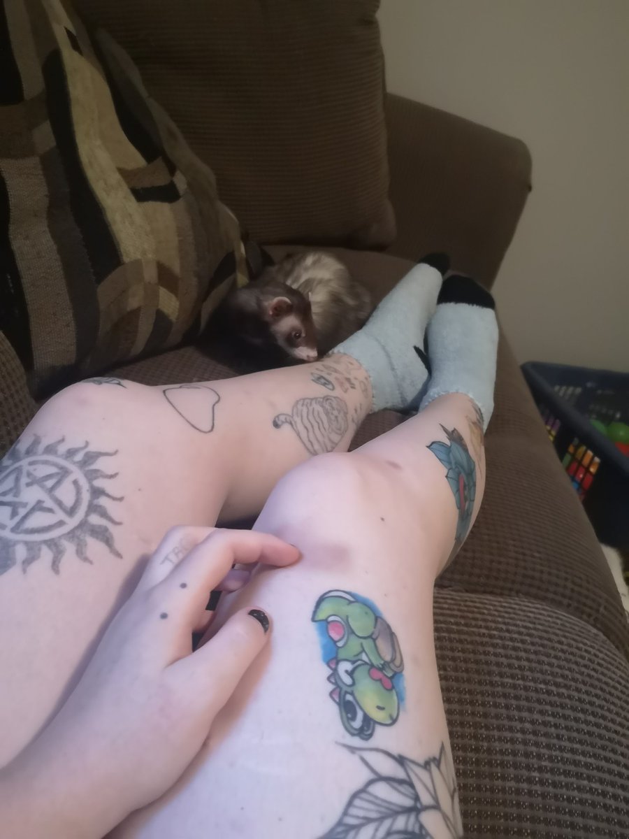 Kayteakatt1's tweet photo. Smelly feet
#ferret #fuzzysocks #feet #tattooed #stickandpokes #tattooedgirl #punkgirl #punk #alternative #alternativegirl #notreallysurehowtwitterworks #tattoos #yoshitattoo #yoshi https://t.co/tbj62QBHl3