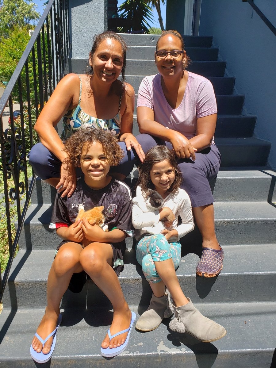 ...and a postscript to our story, is that earlier this summer mama and dad fostered another litter of orphan kittens, and our original foster mamas adopted two of them. They are all happy together, and mama and dad are glad to return the favor. Excellent kittens for everyone!