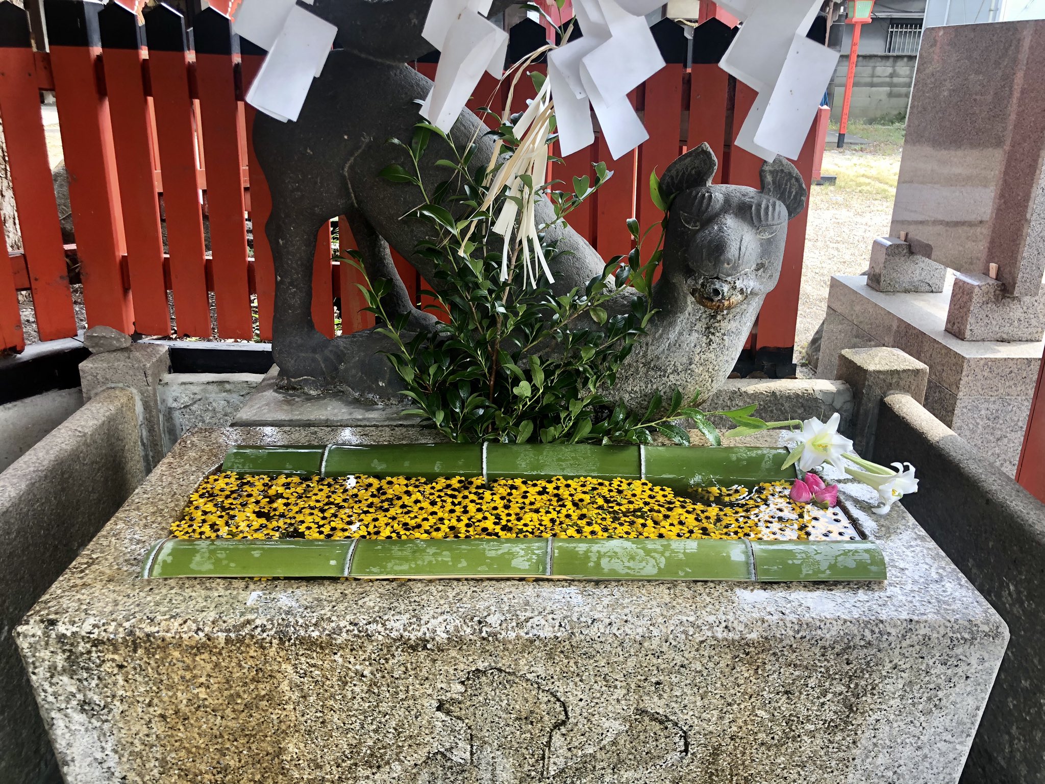 瓢箪山稲荷神社 大阪府東大阪市にある 近鉄奈良線瓢箪山駅南すぐの瓢簞山稲荷神社です Twitterを開設いたしました 末永くお付き合い願います ただ今 18日の御命日祭 旧暦夏越の大祓まで 花手水でお参りのお迎えをしております どうぞ ご参拝