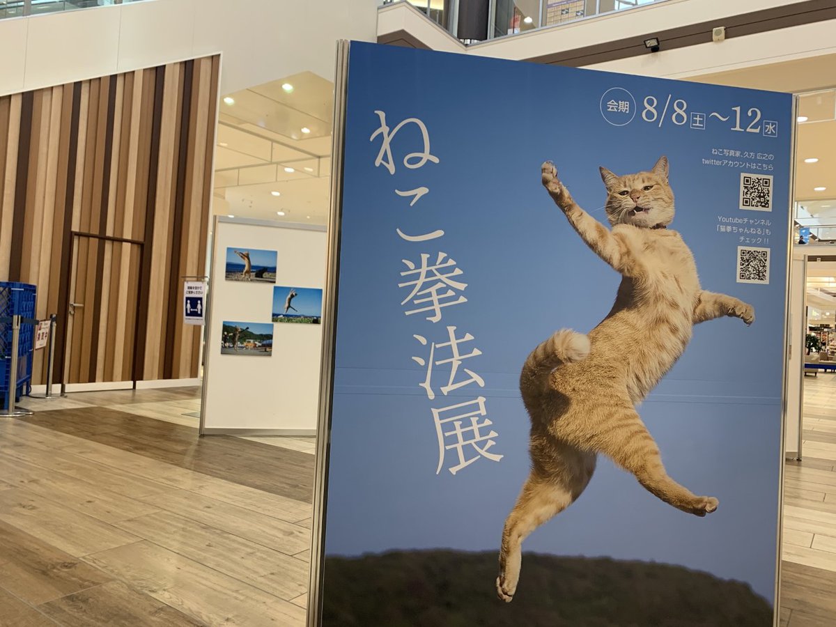 sakata_77's tweet image. 猫と遊びながら撮影した写真集「のら猫拳」てのがありますので!是非ご家族、友達と見てもらえれば!
amazon.co.jp/%E3%81%AE%E3%8…
展示も好評開催中です!イオンモール苫小牧で12日まで! 展示にご興味おありの商業施設関係者様、メールあるいはDMでご連絡くださいませ