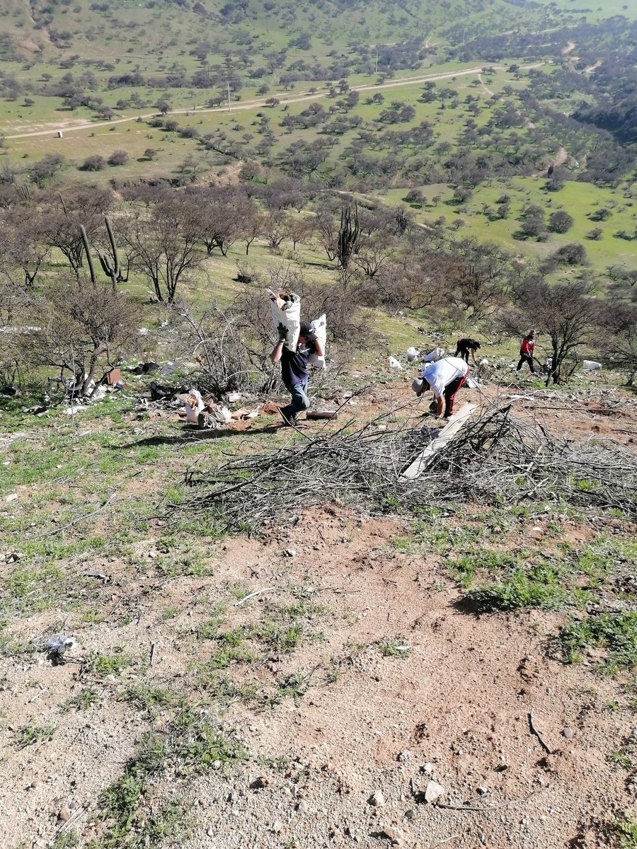 EricJon17313757's tweet photo. Todo los sábados de 09:00 hasta las 13:00 estaremos trabajando en cuesta barriga asi q sumate solo se pide la motivación y muy buena voluntad https://t.co/FUMwVTAxZf