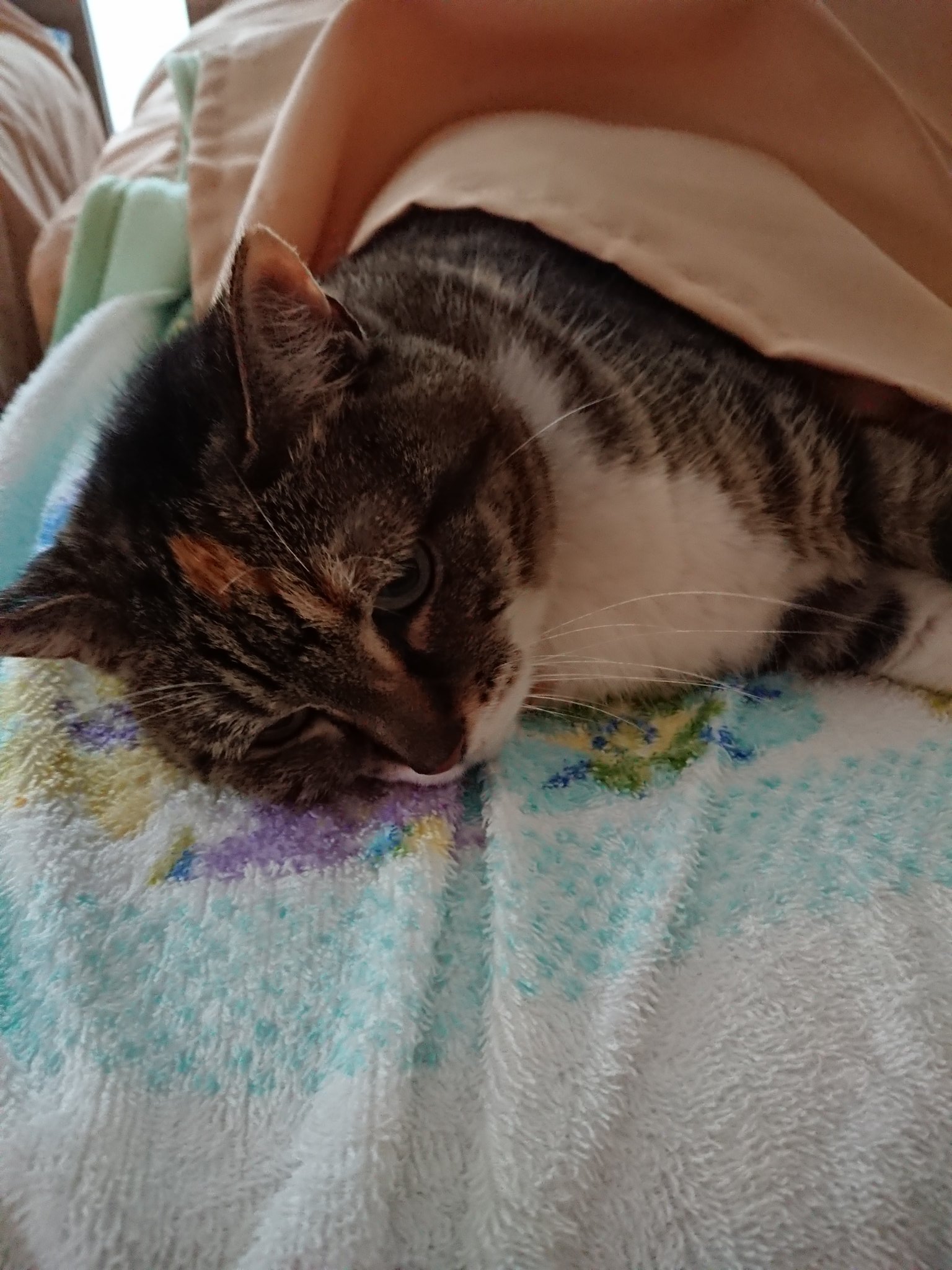 仙台寒い Twitter Search Twitter