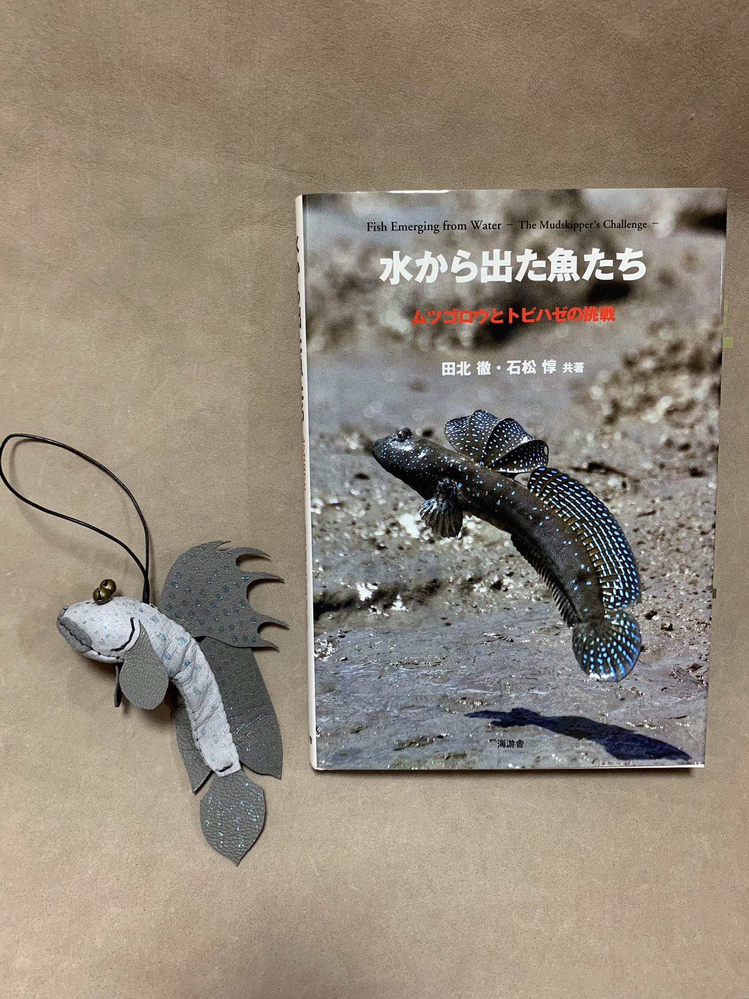 تويتر あまのじゃくとへそまがり على تويتر ムツゴロウのストラップ Boleophthalmus Pectinirostris 泥干潟に生息するハゼ科の魚 胸びれを使って這うように移動する 頭を左右に振って 泥表面の珪藻類をこそぎ取って食べる様子が大変可愛らしい 繁殖期の
