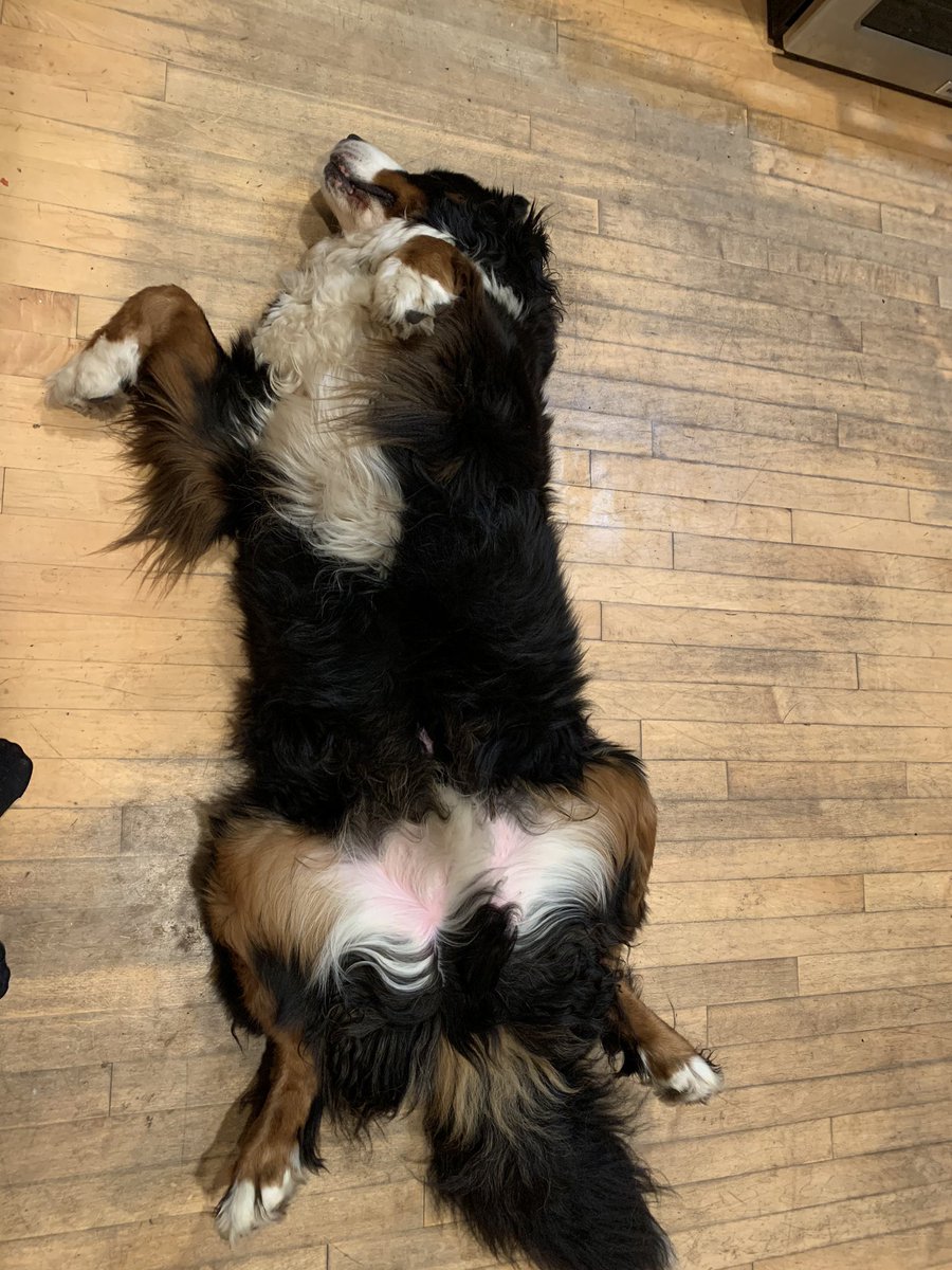 It's time to get out there...., or not😝