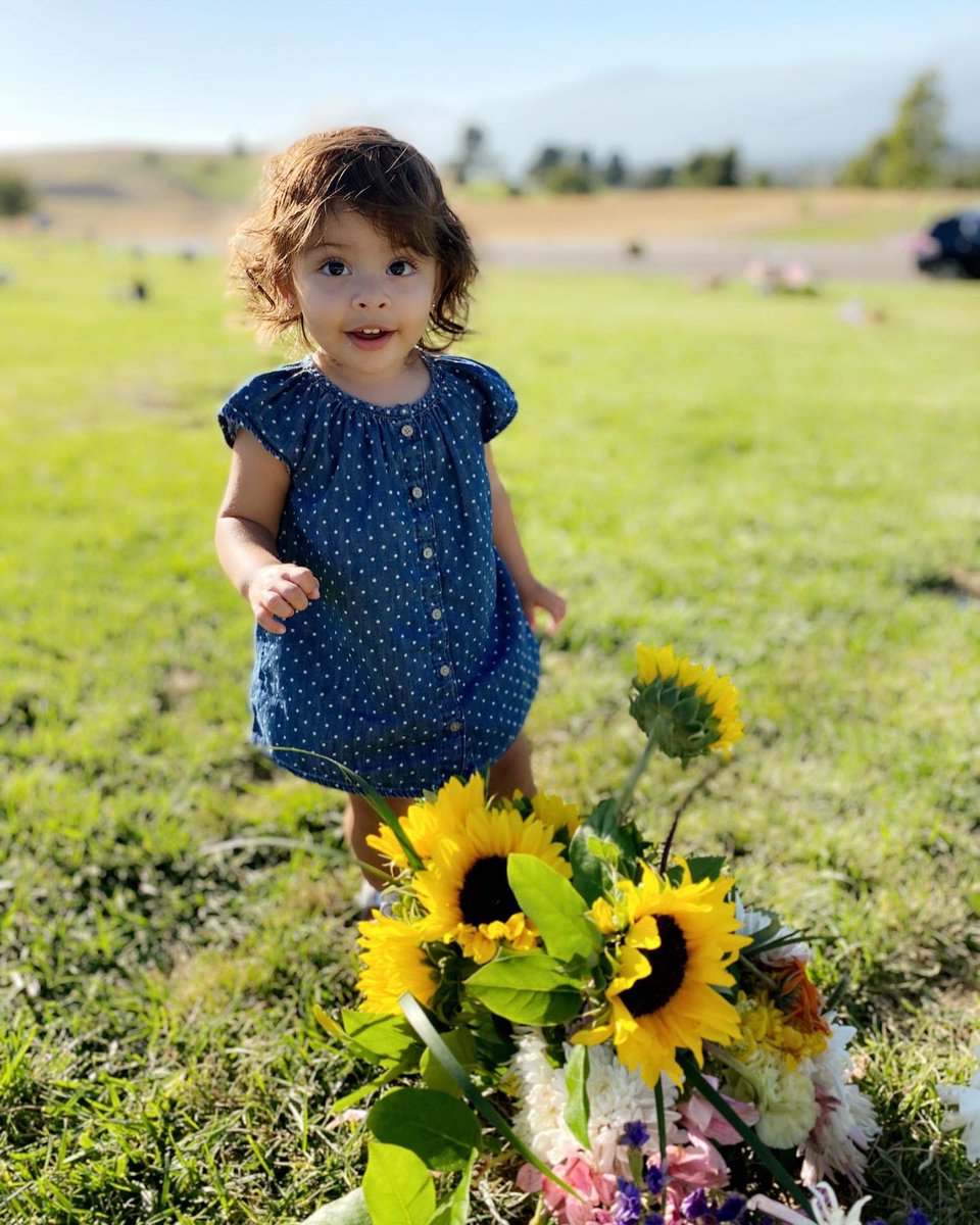 edgarisotelo's tweet photo. Our girls took flowers to Tito’s memorial for the first time. I know dad was smiling from Heaven. ☺️🙏🏽
Te Amamos Papá.
#LosSotelos #SotelosSisters #ArielaSotelo #AlaniSotelo #EdgarSotelo #ElShoboy https://t.co/a5AzybsBW7
