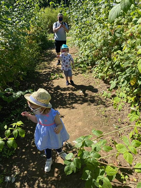 Remlinger Farms tweet media