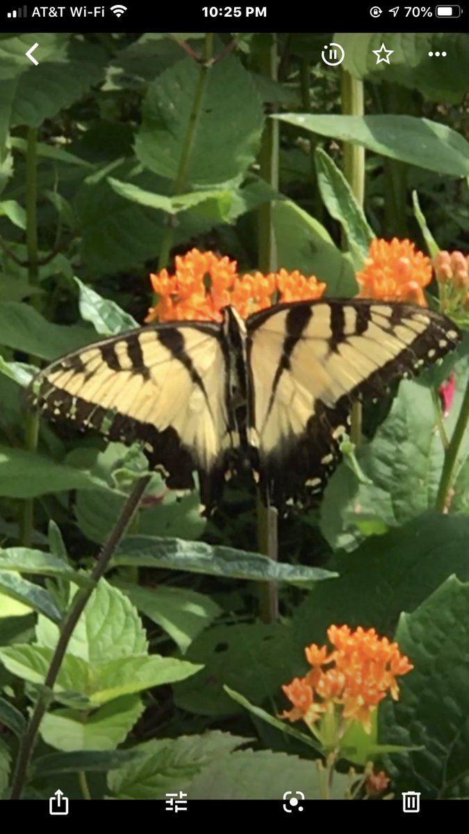 Frank McKenna tweet media