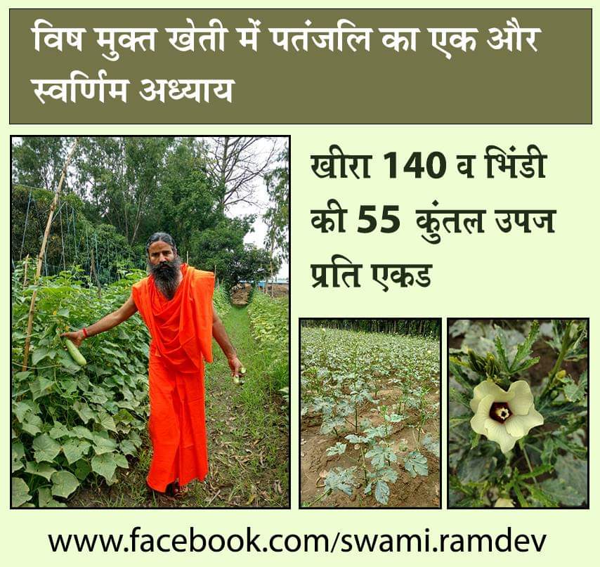 #Patanjali द्वारा देश में बहुत ही बड़े पैमाने पर कृषि विज्ञान व कृषि विकास के लिए कार्य चल रहे हैं। जिससे लोगों को शुद्ध खाद्य पदार्थ उपलब्ध कराया जा रहा है और देश के किसानों को प्रत्यक्ष लाभ भी मिल रहा है। <a href="/PMOIndia/">PMO India</a> <a href="/AgriGoI/">Agriculture INDIA</a> <a href="/SecyAgriGoI/">Manoj Ahuja</a>
#AatmaNirbharKrishi
#YuvaBharatBiharSouth